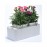 Fashion Grower