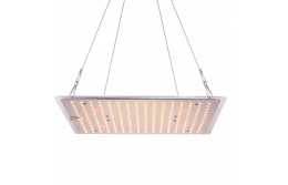 Бытовой LED VS Quantum Board.
