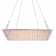 LED освещение в Омске LED освещение в Омске