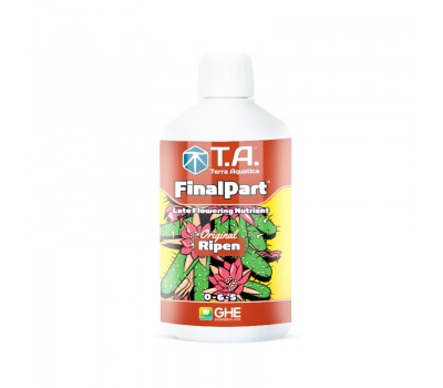 FinalPart T. A. 1L