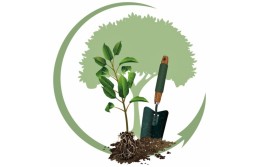 Пересадка: из почвы на гидропонику